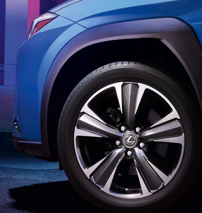 Ruote della Lexus UX300e
