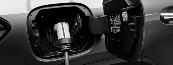 Cavo auto elettrica