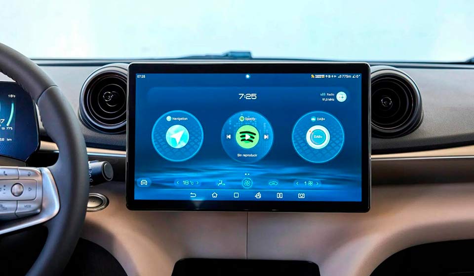 BYD Dolphin schermo interno Italia
